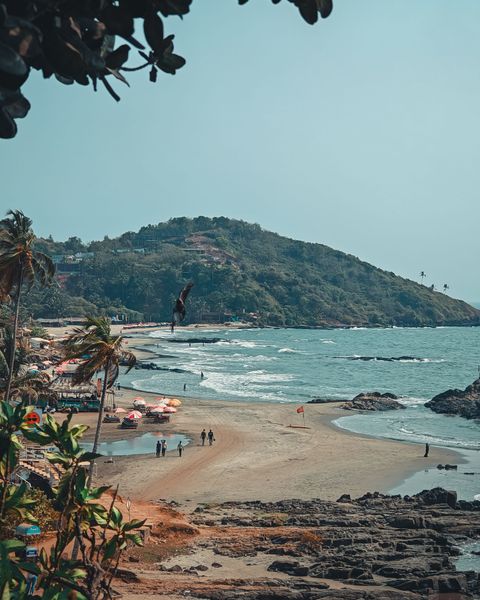 Strand i Goa med parasoll, solstolar, en röd flagga och en skogklädd udde i bakgrunden