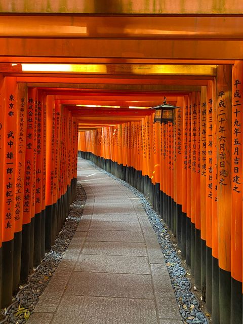 Tunnel av orangeröda toriiportar med svart japansk skrift på stolparna och en stenlagd stig som svänger bort
