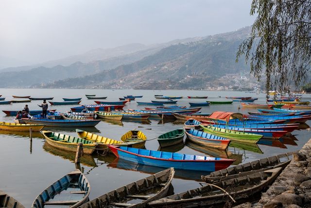 Färgglada roddbåtar vid Phewa-sjöns strand i Pokhara